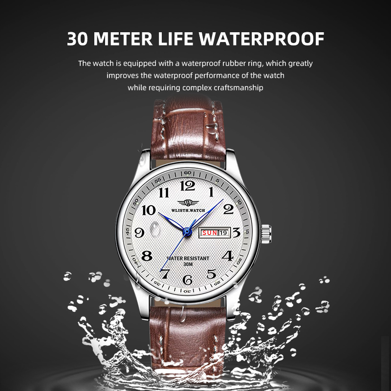 WLISTH marque de luxe montre p - Luxury Watch Arabic avis et prix
